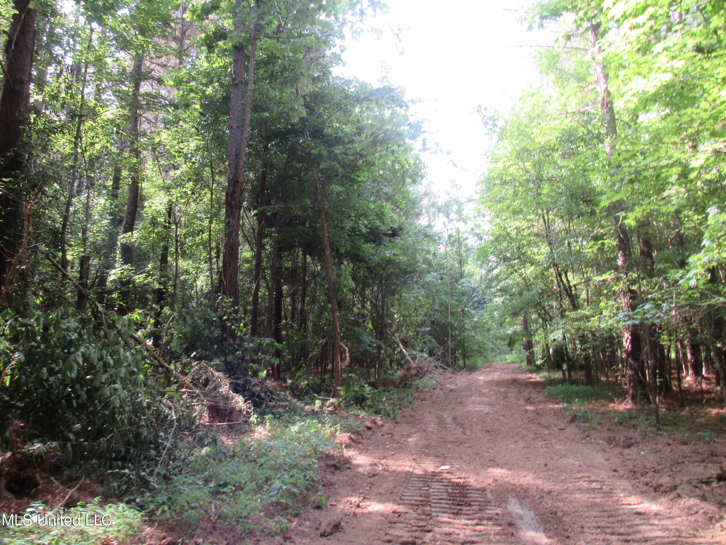 No Harmon Road Senatobia, MS 38668 - Photo 20 of 46 IMG_3438