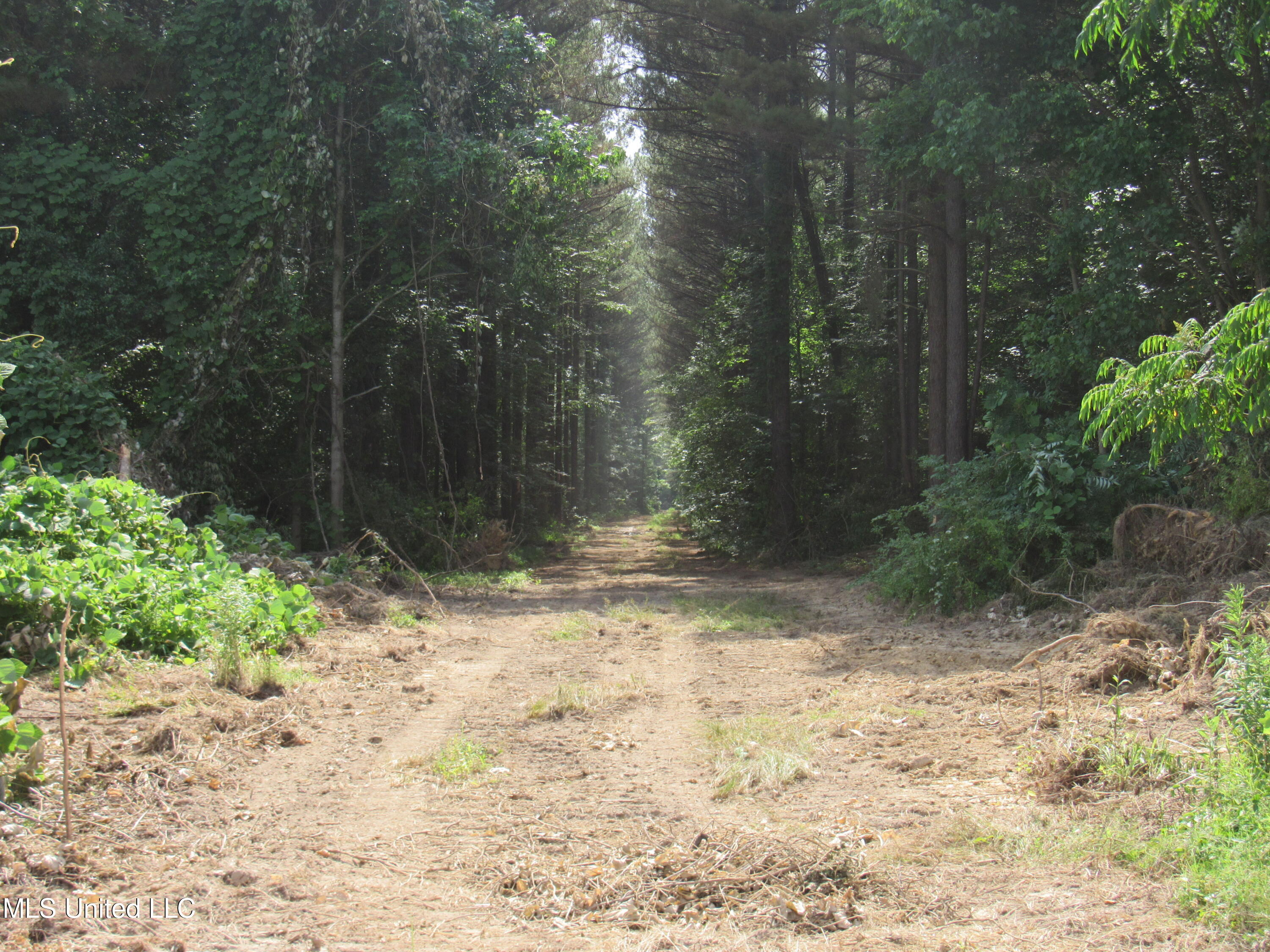 No Harmon Road Senatobia, MS 38668 - Photo 2 of 46 IMG_3443