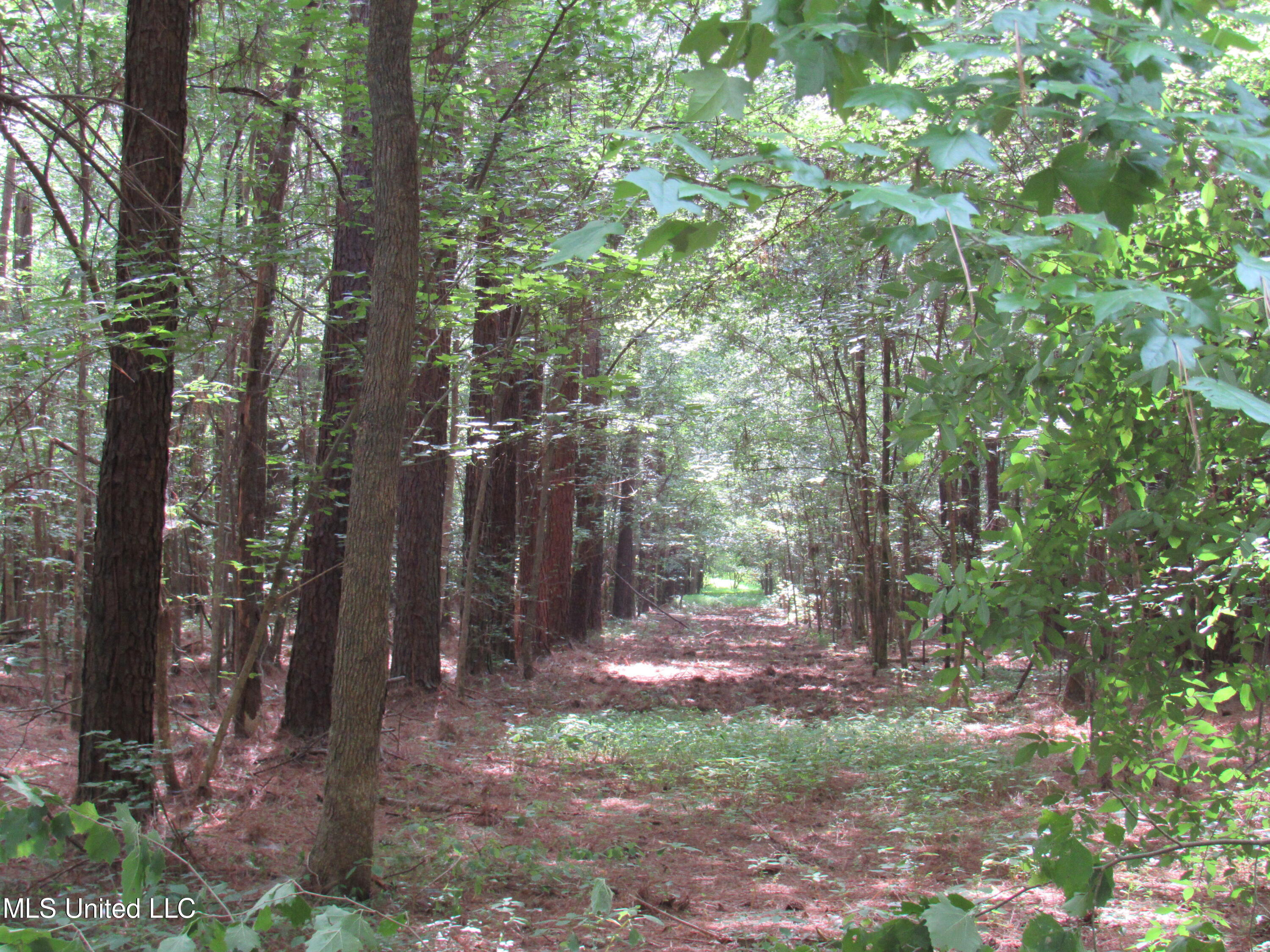 No Harmon Road Senatobia, MS 38668 - Photo 21 of 46 IMG_3439
