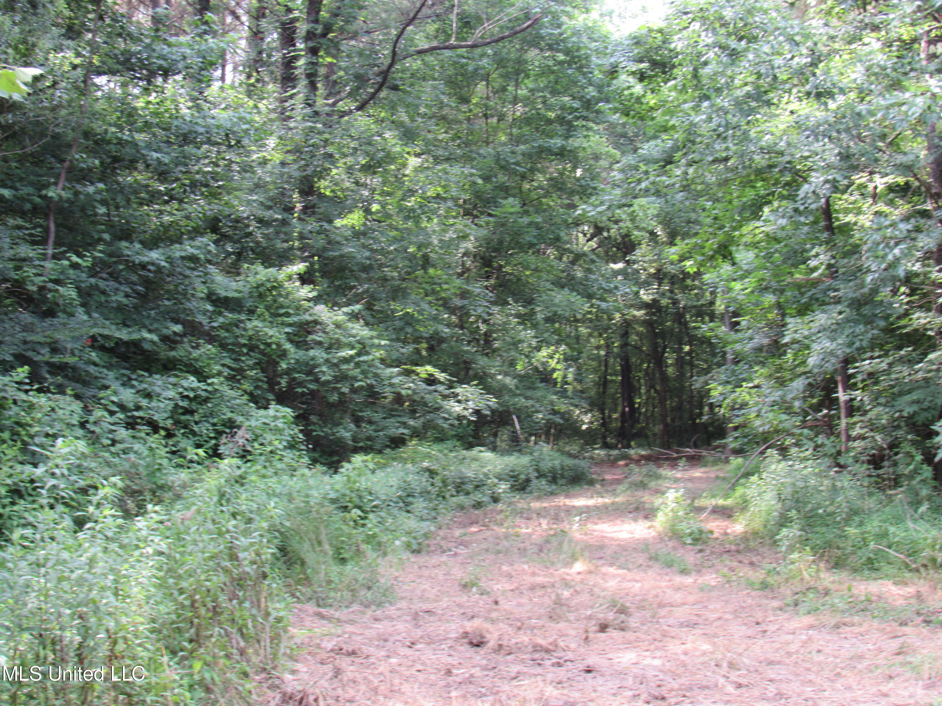 No Harmon Road Senatobia, MS 38668 - Photo 22 of 46 IMG_3440