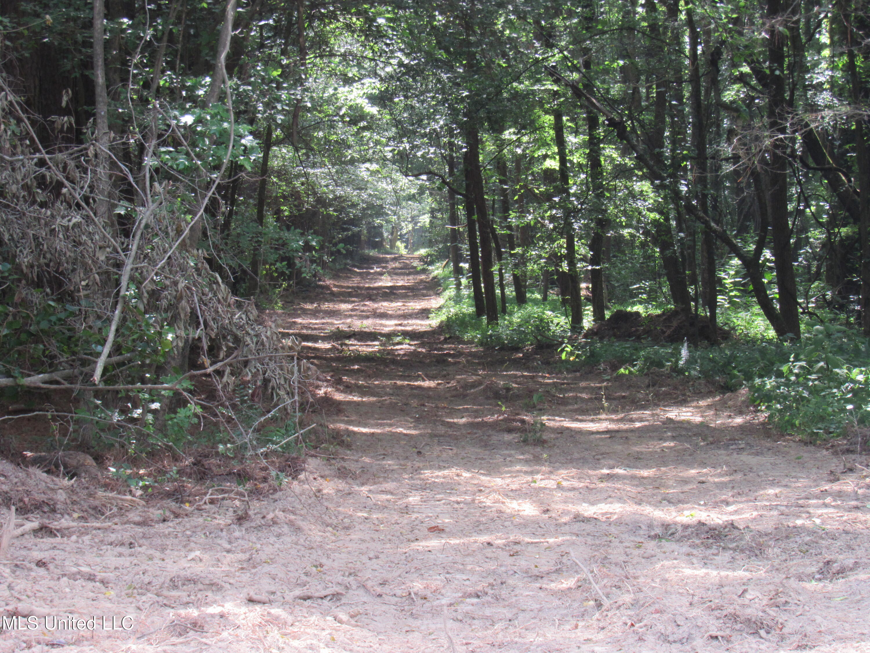 No Harmon Road Senatobia, MS 38668 - Photo 23 of 46 IMG_3442
