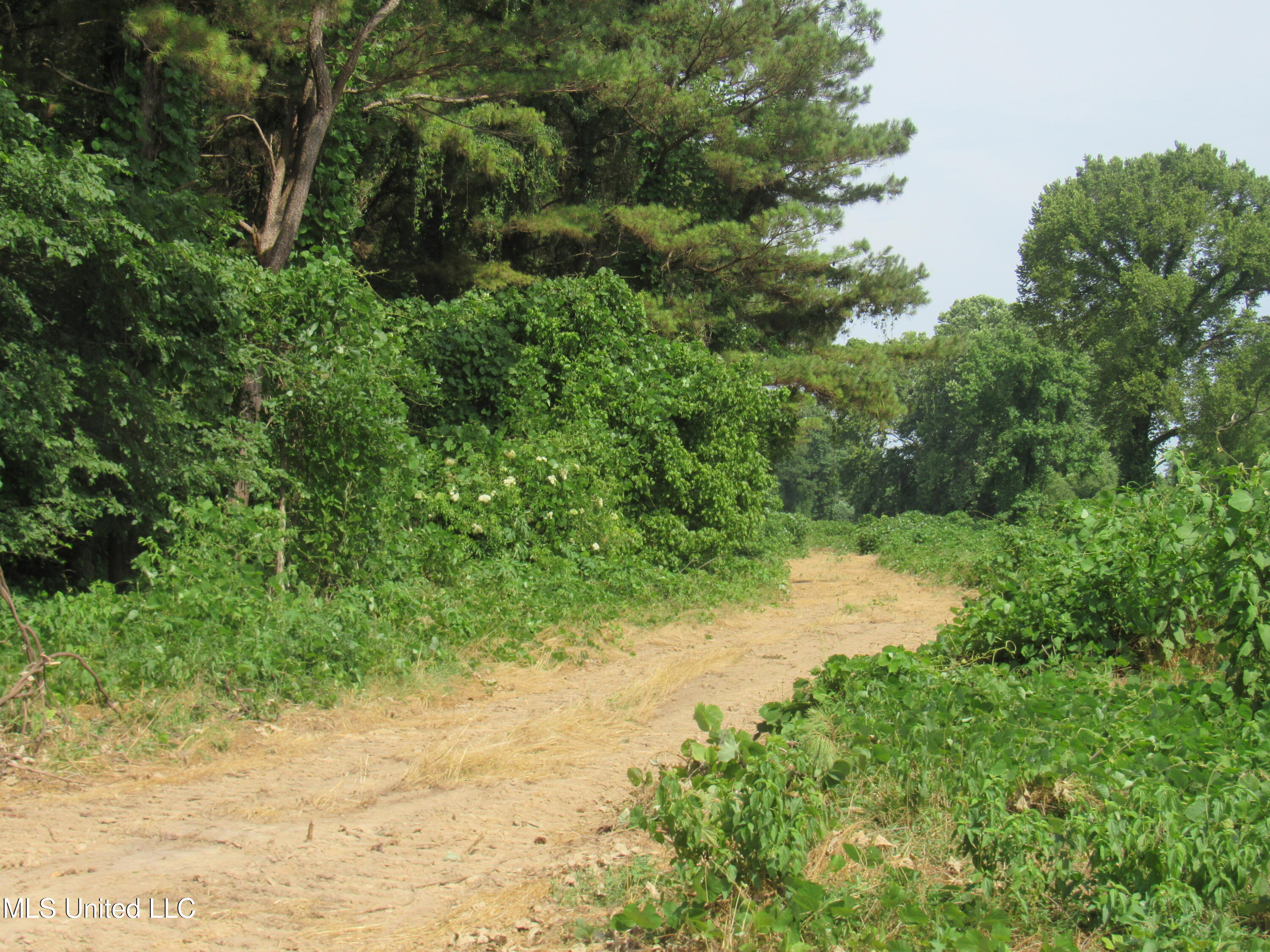 No Harmon Road Senatobia, MS 38668 - Photo 24 of 46 IMG_3431
