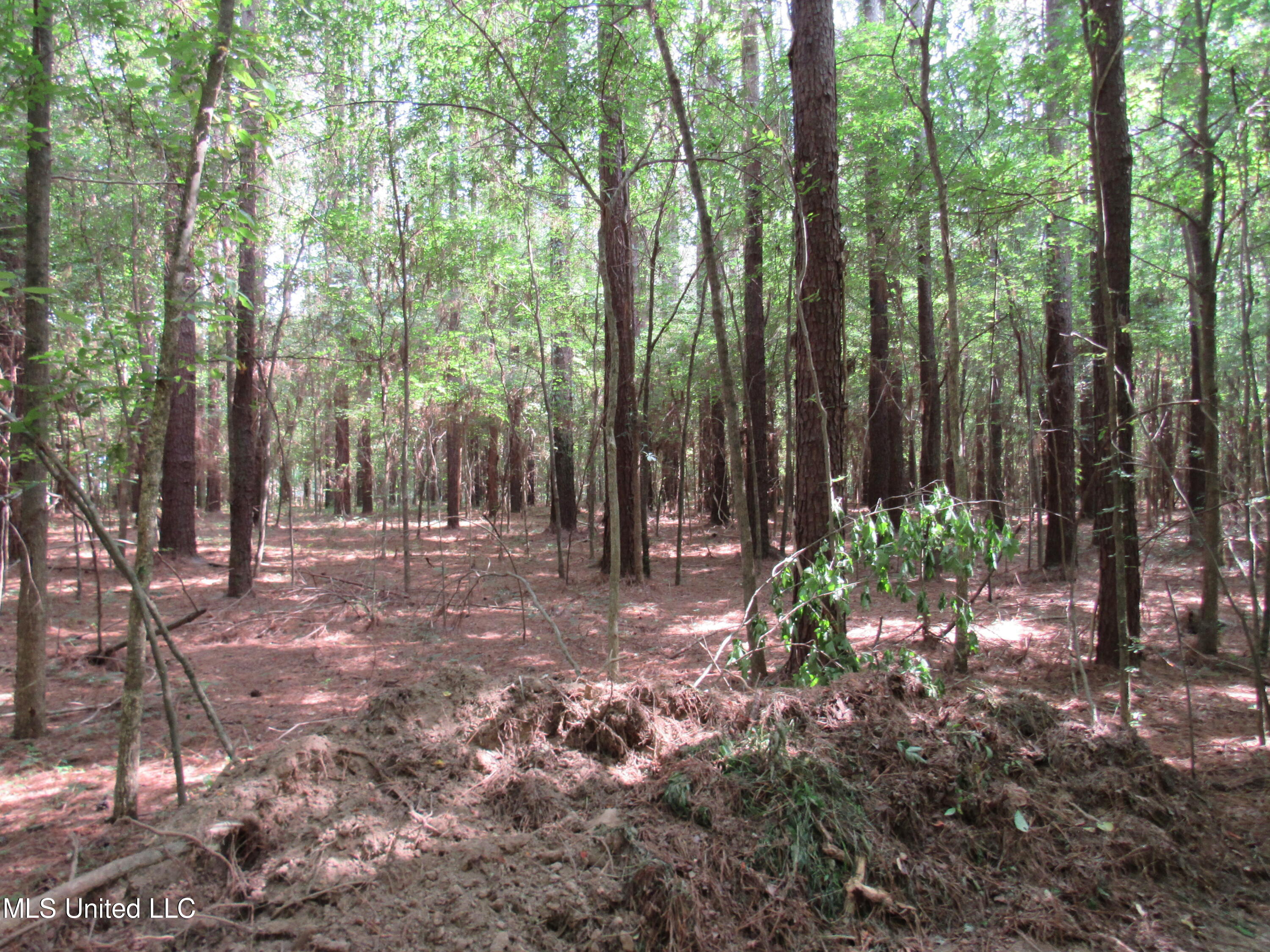No Harmon Road Senatobia, MS 38668 - Photo 25 of 46 IMG_3444