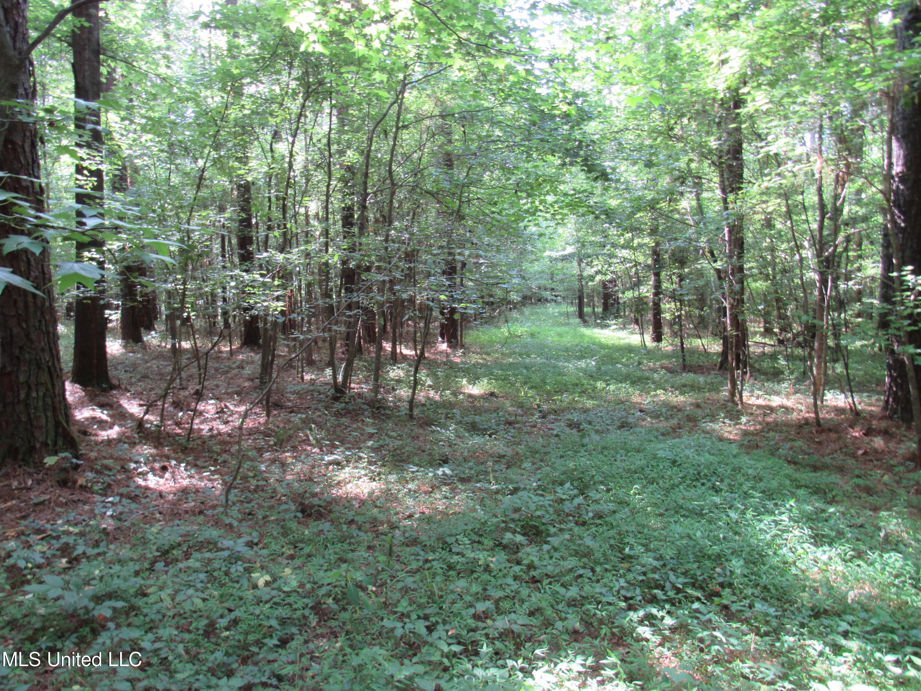 No Harmon Road Senatobia, MS 38668 - Photo 27 of 46 IMG_3447