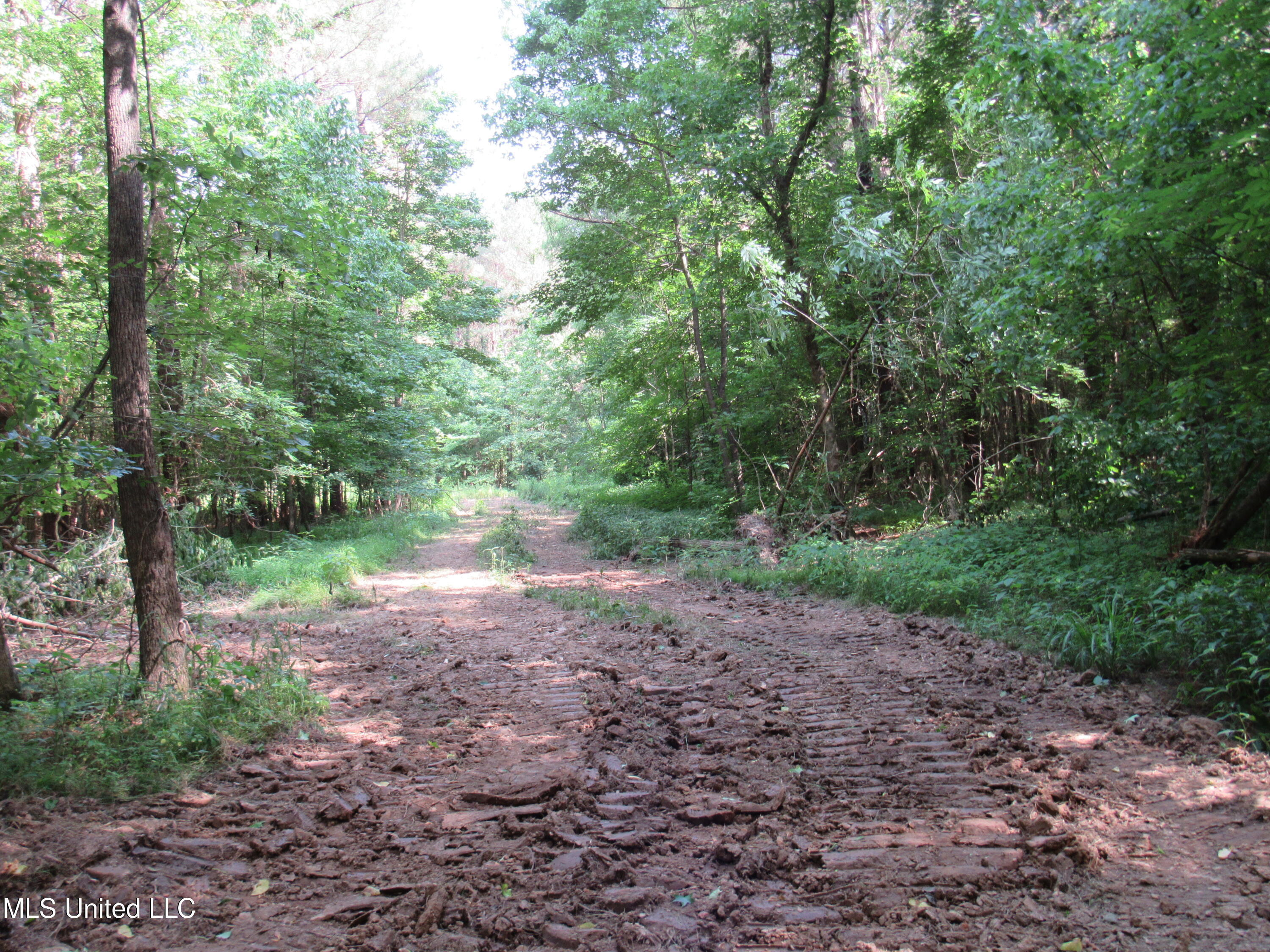 No Harmon Road Senatobia, MS 38668 - Photo 29 of 46 IMG_3450