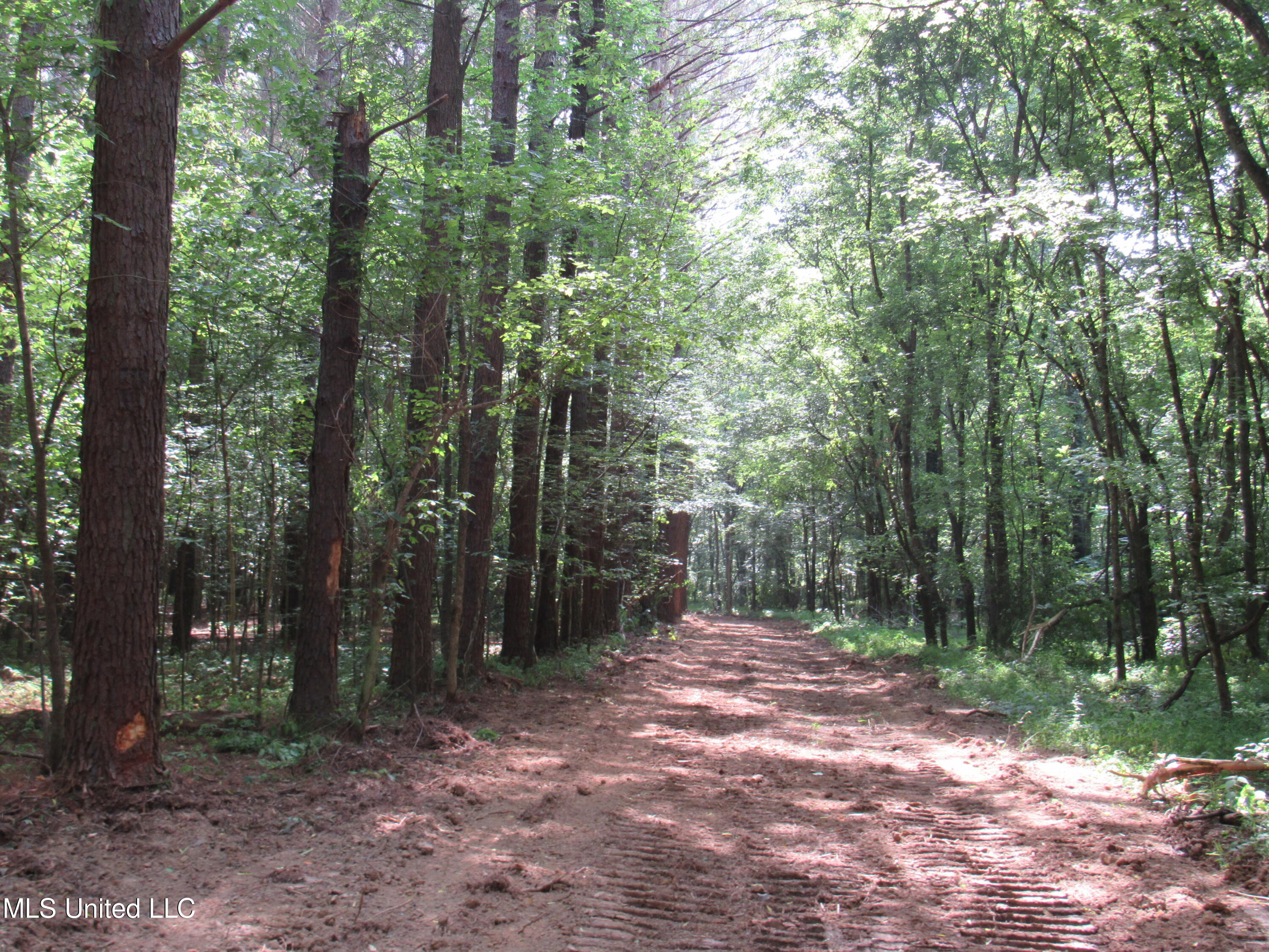 No Harmon Road Senatobia, MS 38668 - Photo 30 of 46 IMG_3451