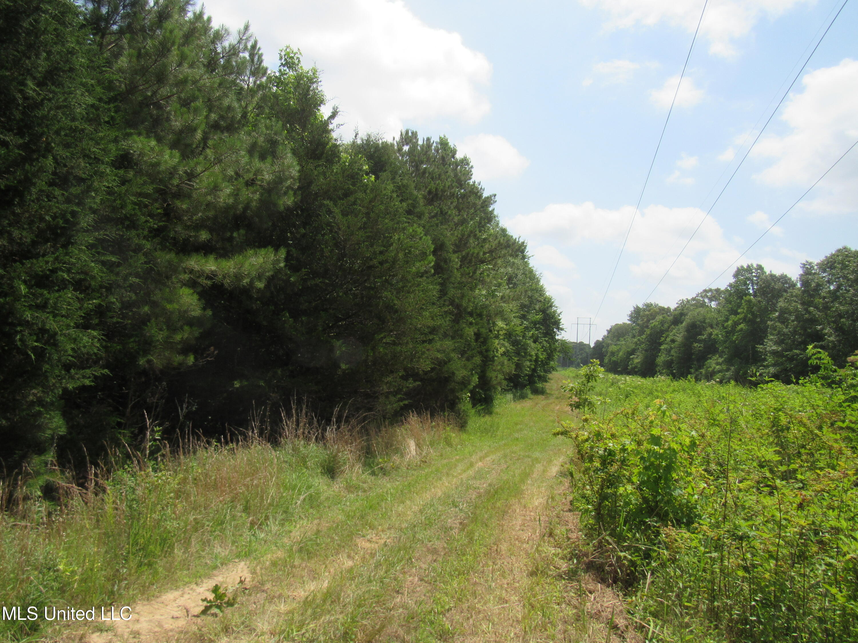 No Harmon Road Senatobia, MS 38668 - Photo 3 of 46 IMG_3416