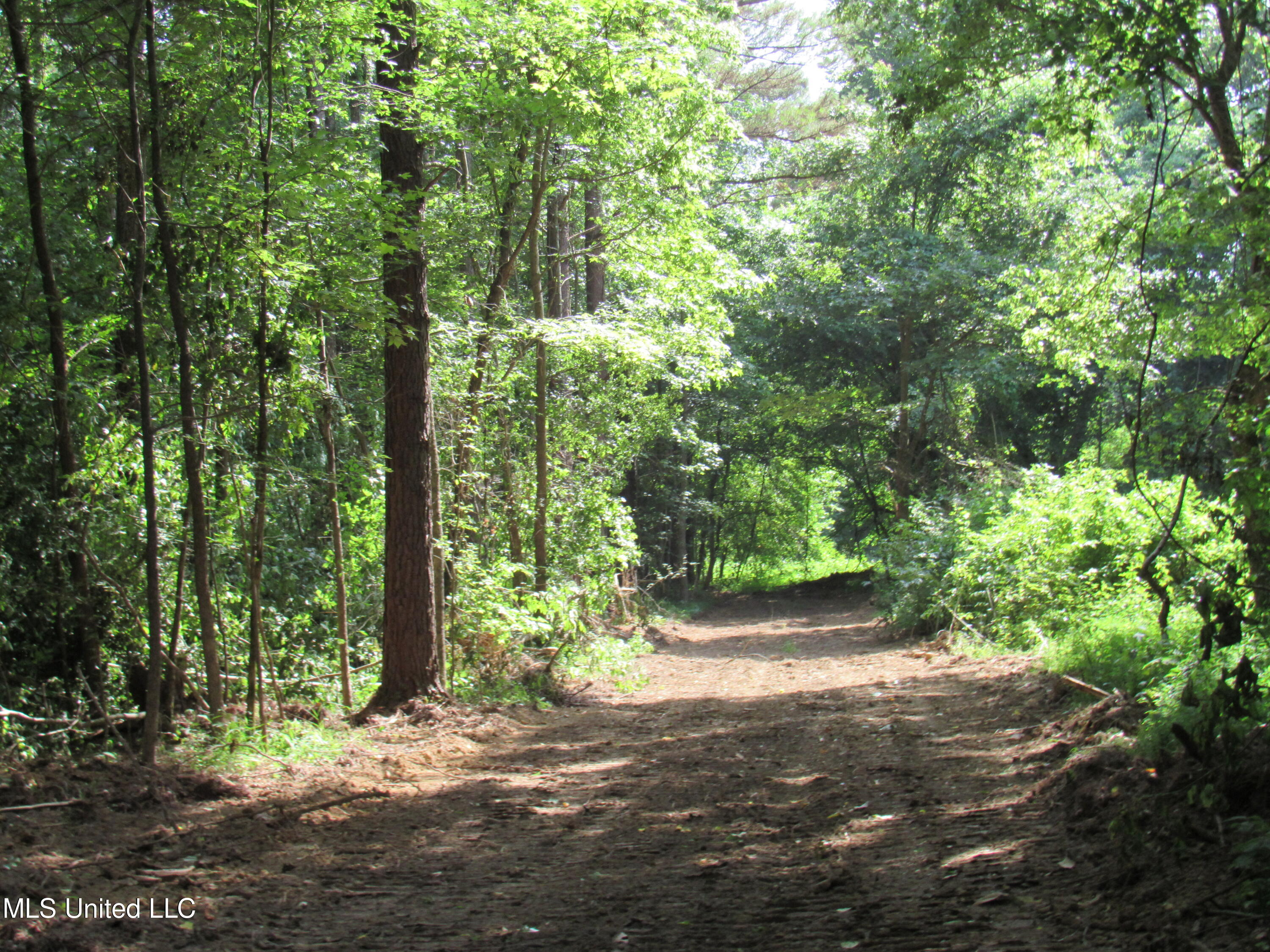 No Harmon Road Senatobia, MS 38668 - Photo 31 of 46 IMG_3452