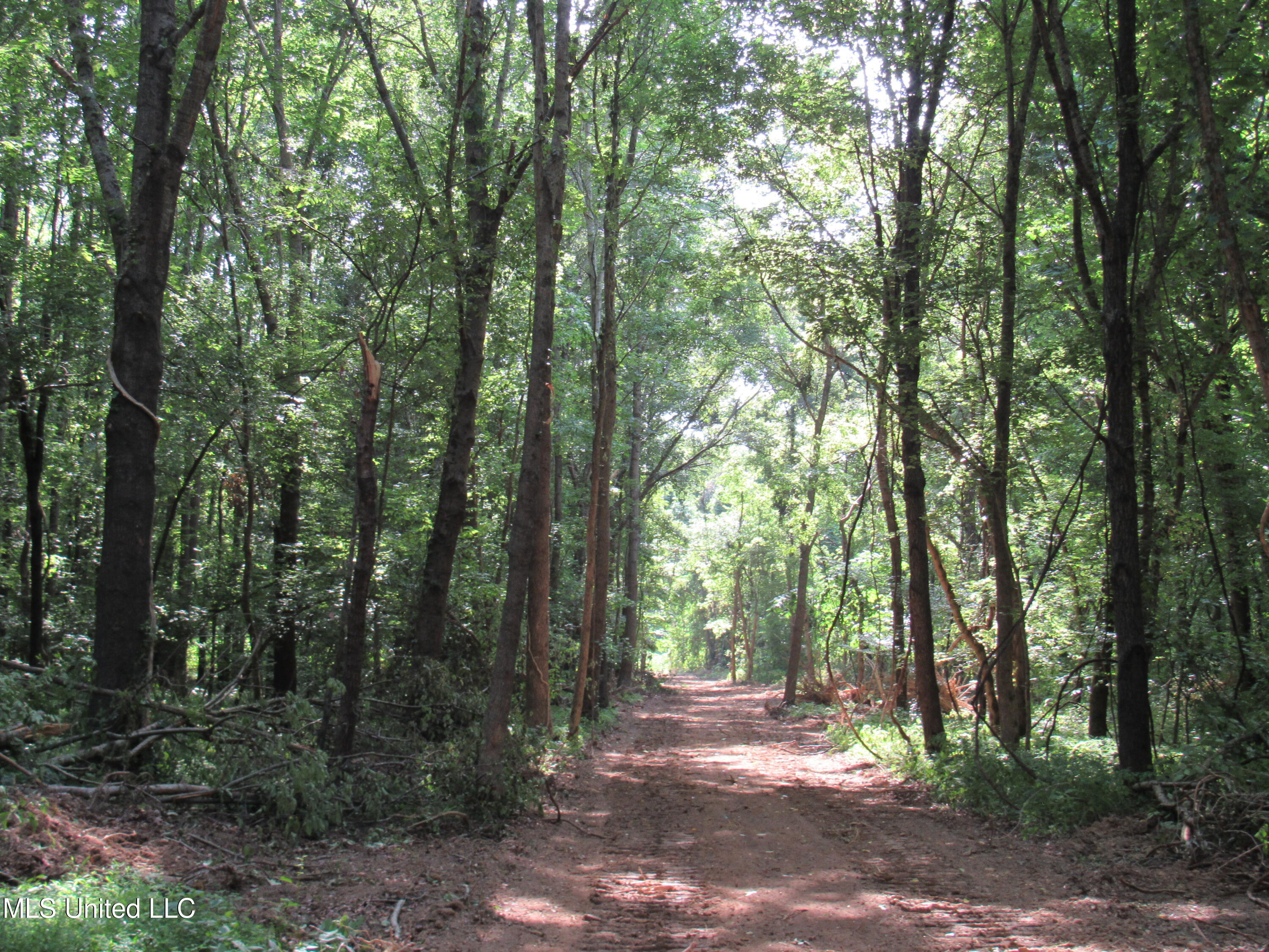 No Harmon Road Senatobia, MS 38668 - Photo 32 of 46 IMG_3455