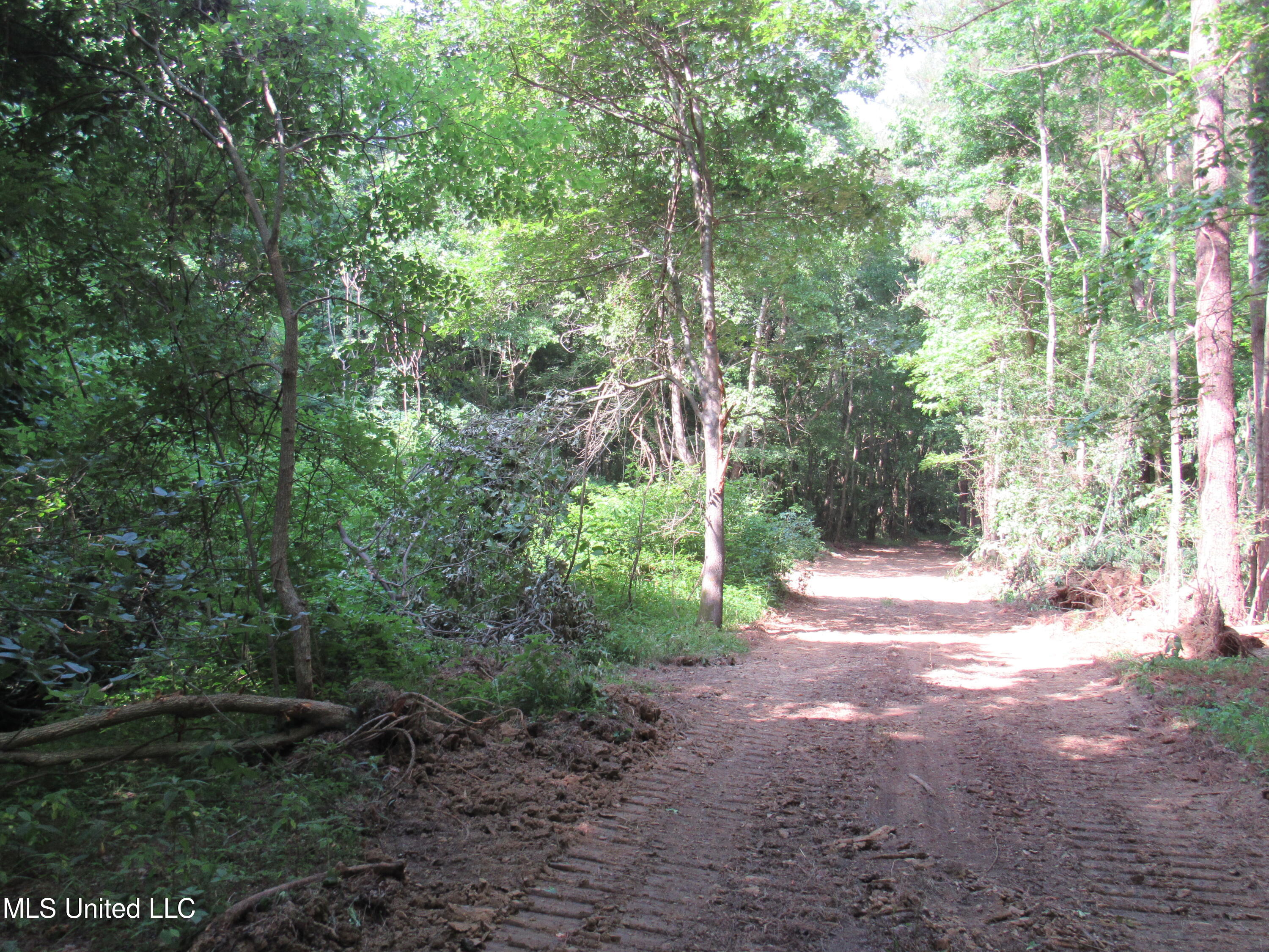 No Harmon Road Senatobia, MS 38668 - Photo 36 of 46 IMG_3459