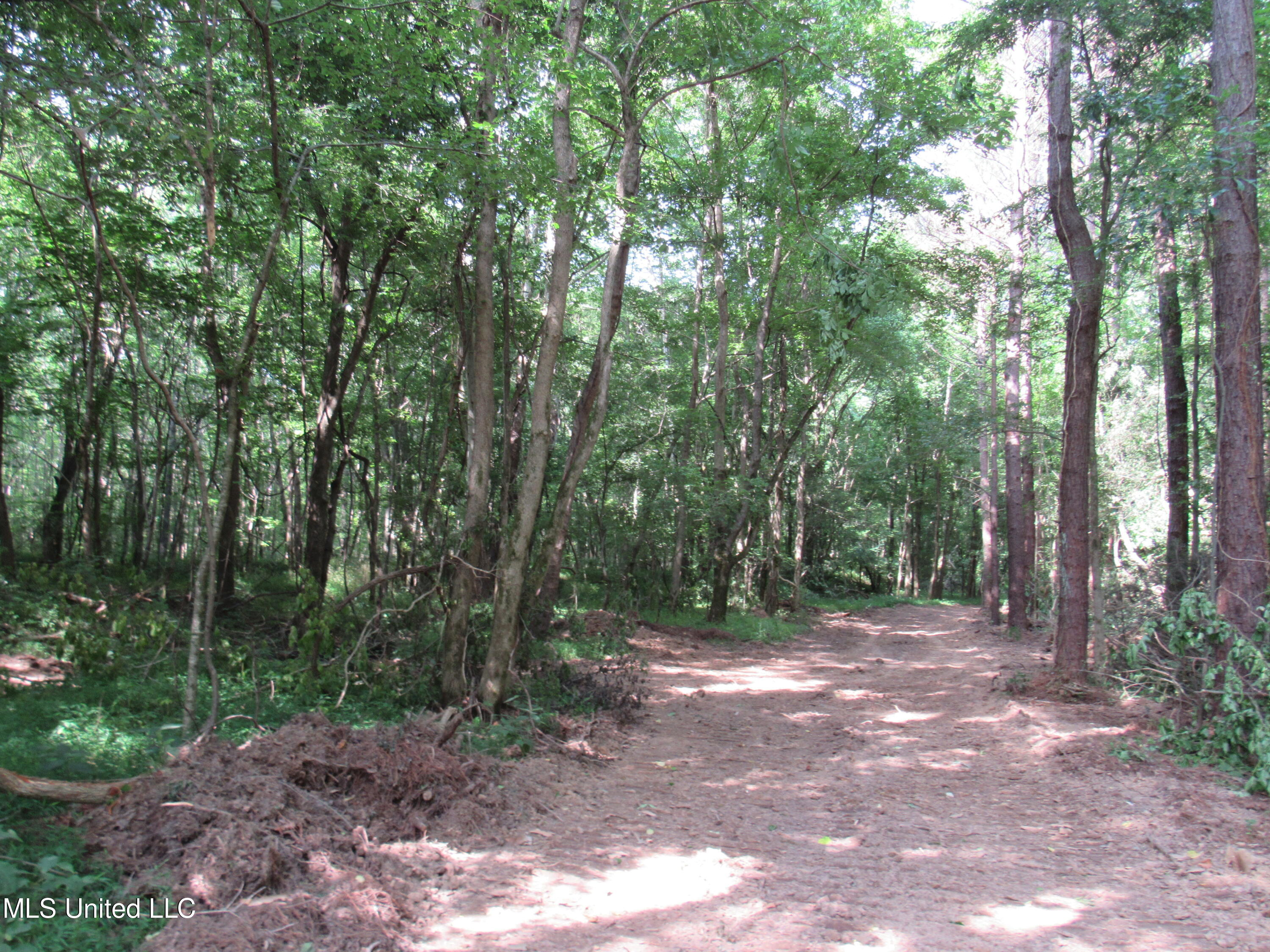 No Harmon Road Senatobia, MS 38668 - Photo 37 of 46 IMG_3460