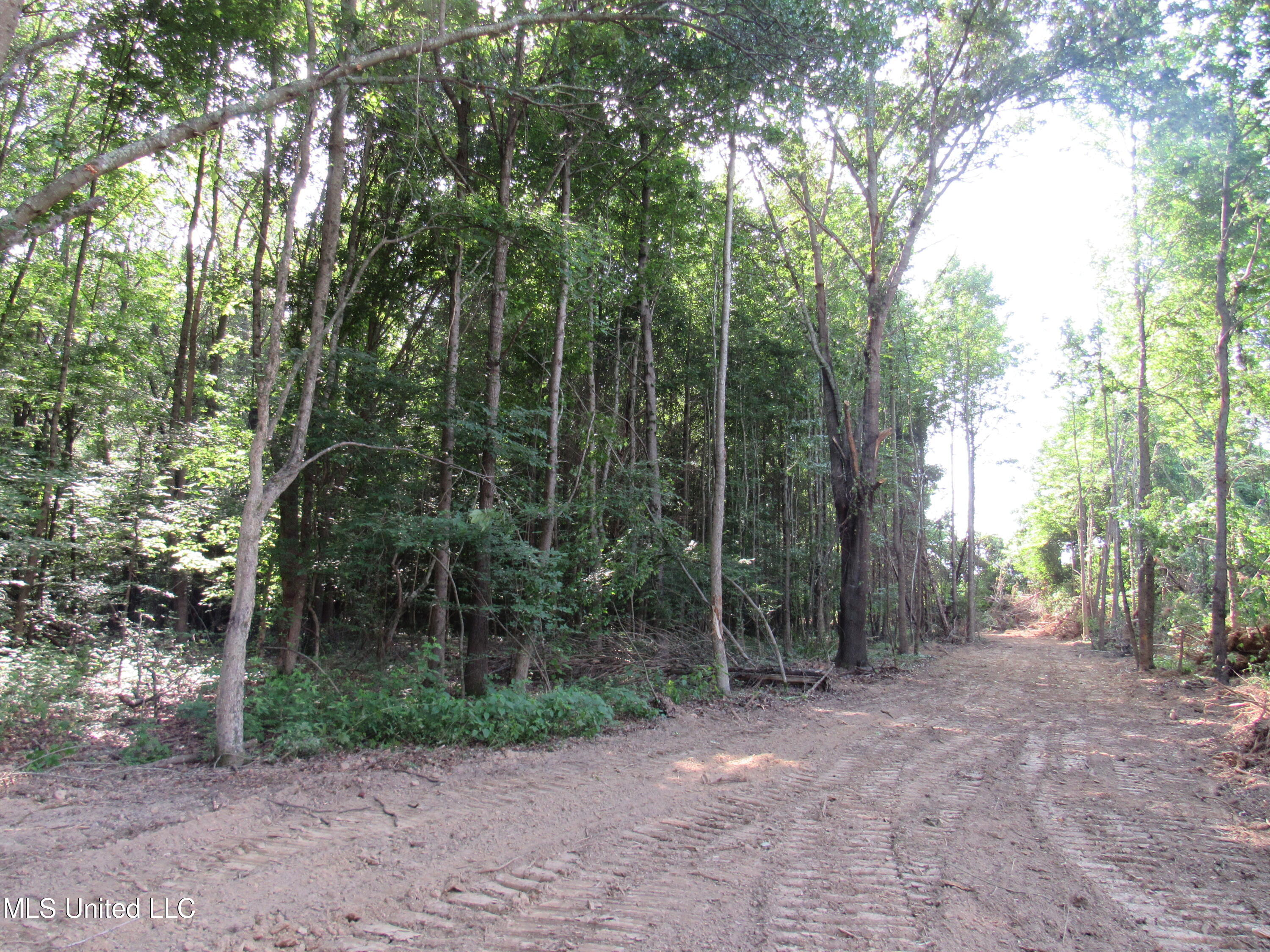 No Harmon Road Senatobia, MS 38668 - Photo 38 of 46 IMG_3461