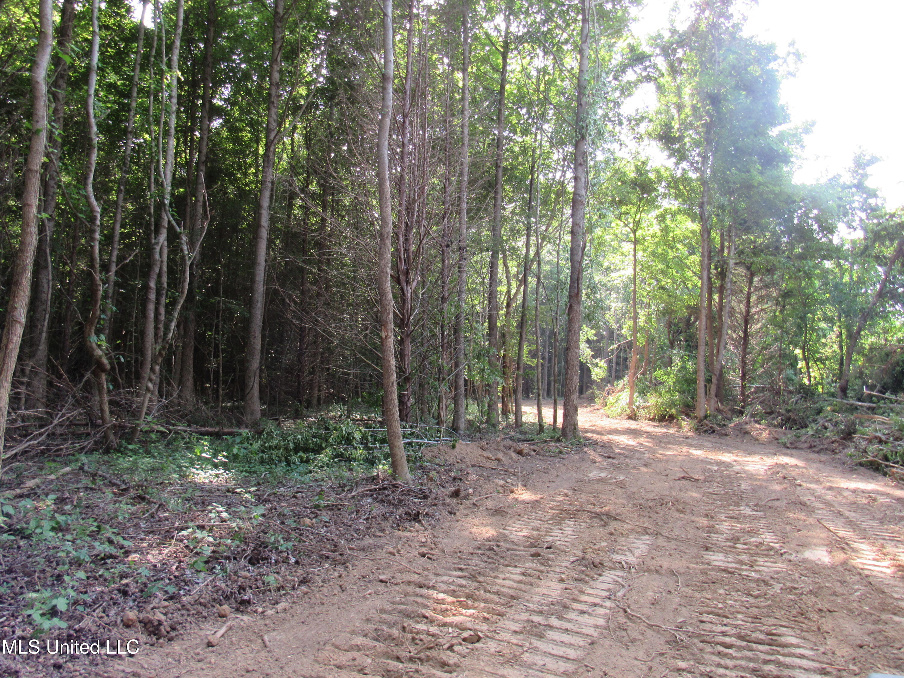 No Harmon Road Senatobia, MS 38668 - Photo 39 of 46 IMG_3462