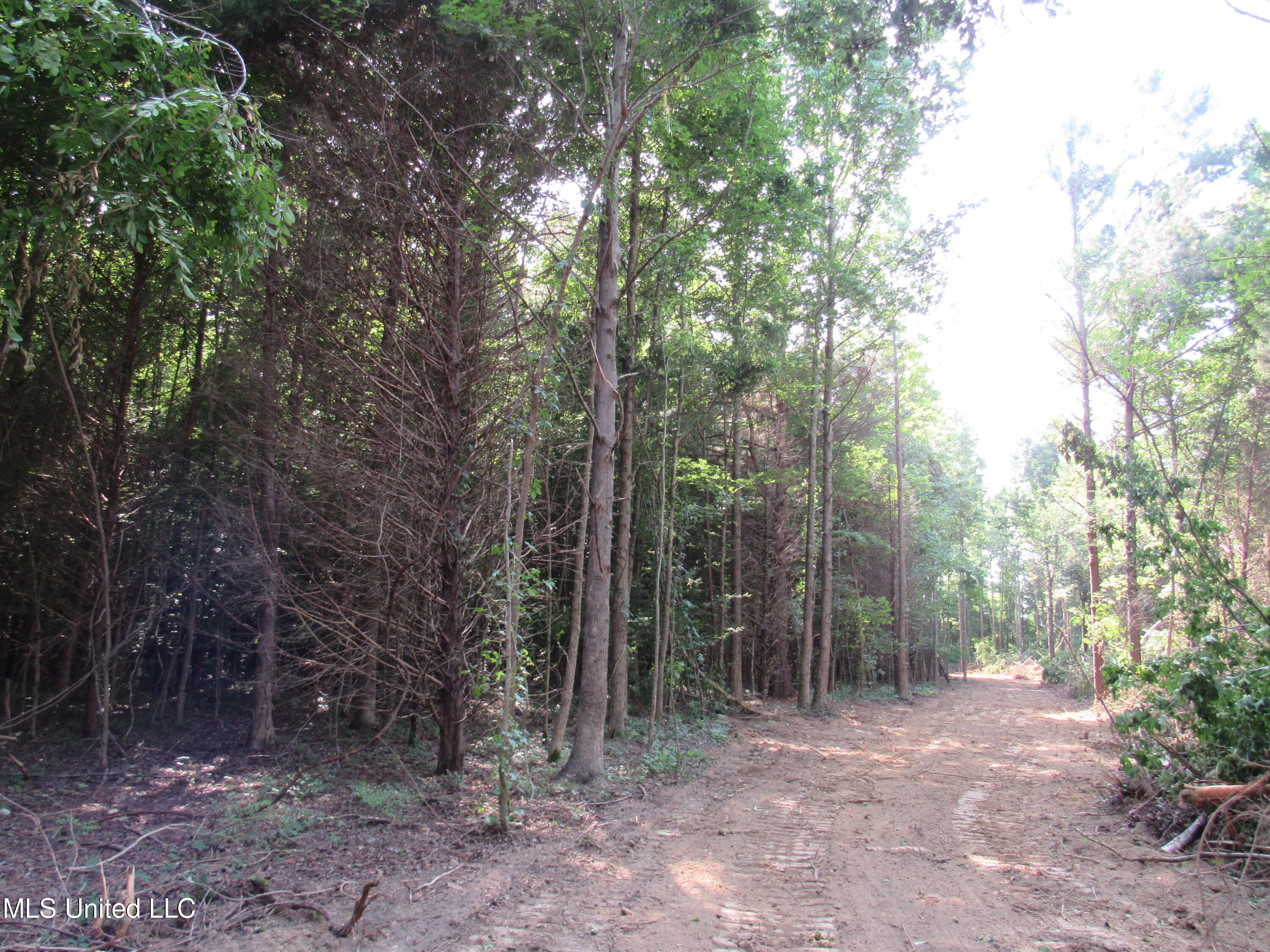 No Harmon Road Senatobia, MS 38668 - Photo 40 of 46 IMG_3463