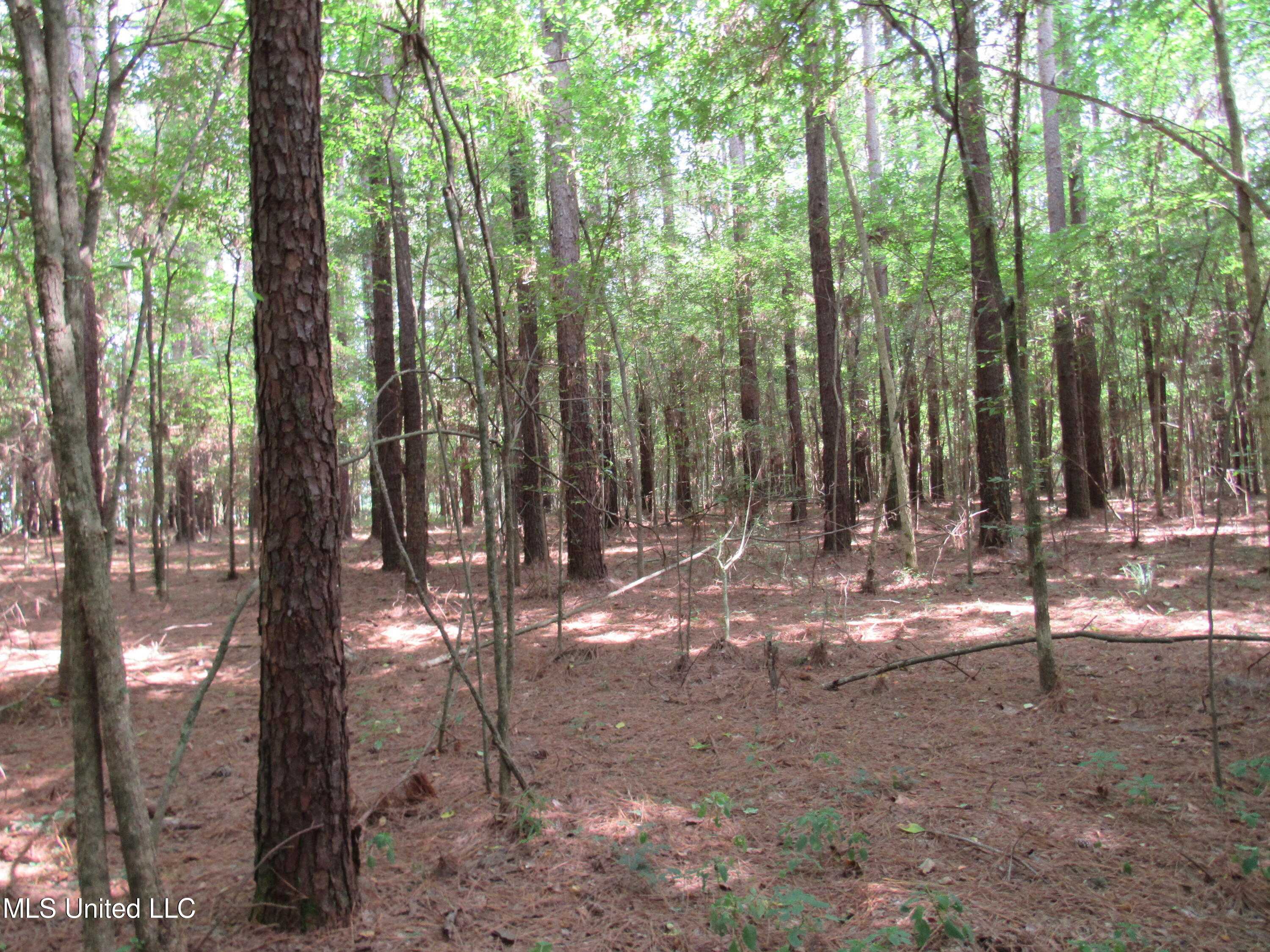 No Harmon Road Senatobia, MS 38668 - Photo 4 of 46 IMG_3445