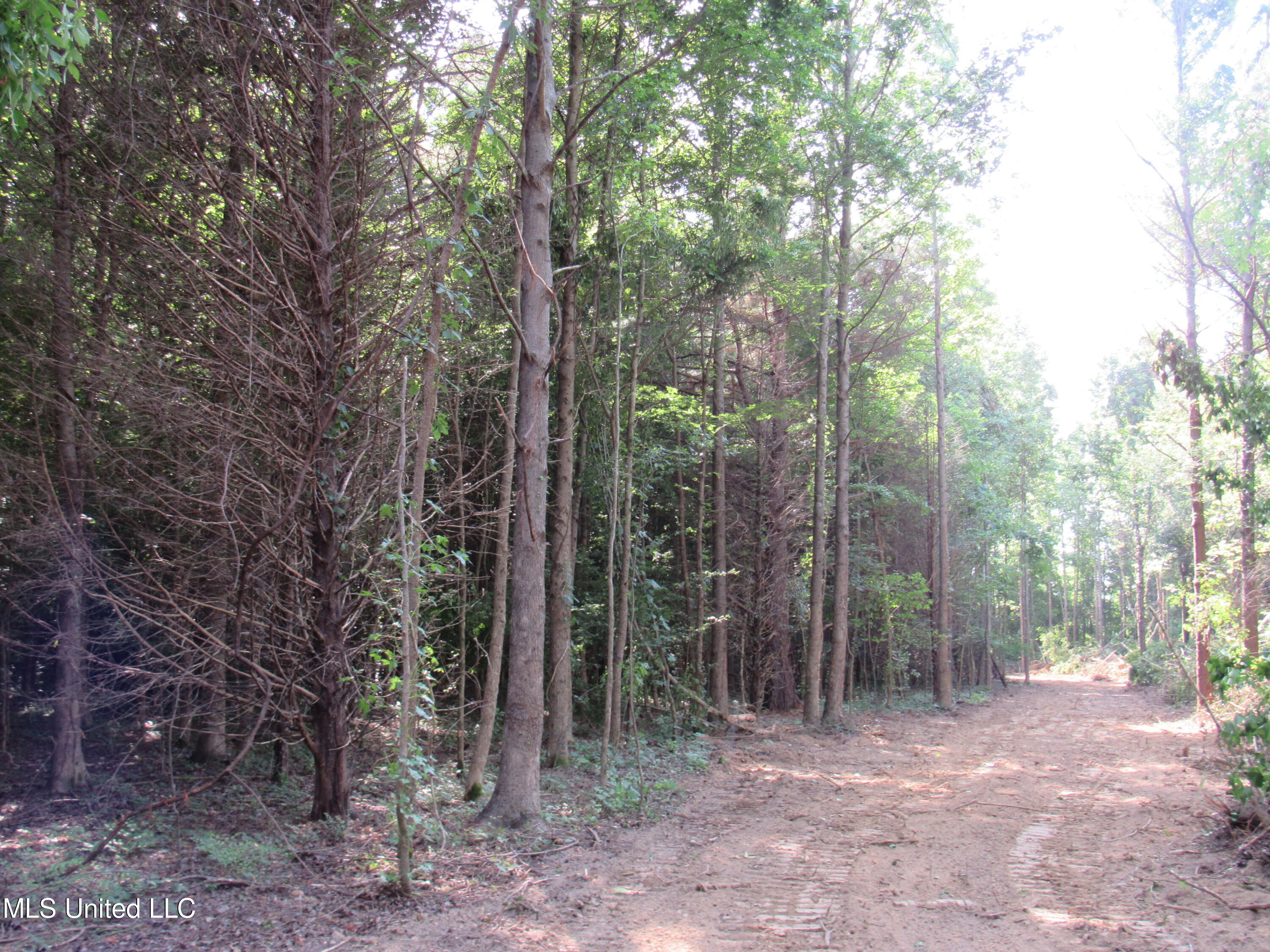No Harmon Road Senatobia, MS 38668 - Photo 41 of 46 IMG_3464