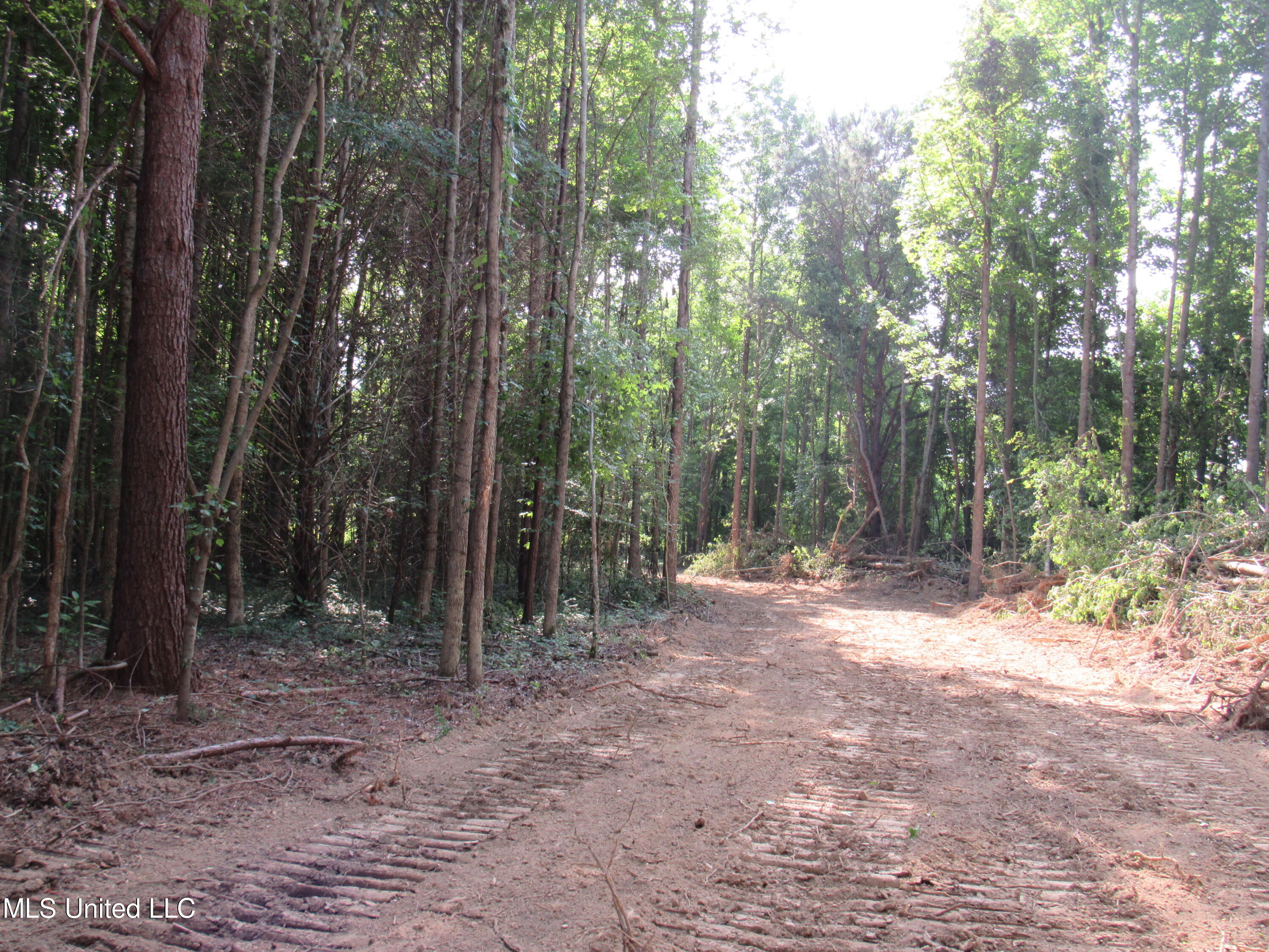 No Harmon Road Senatobia, MS 38668 - Photo 42 of 46 IMG_3465