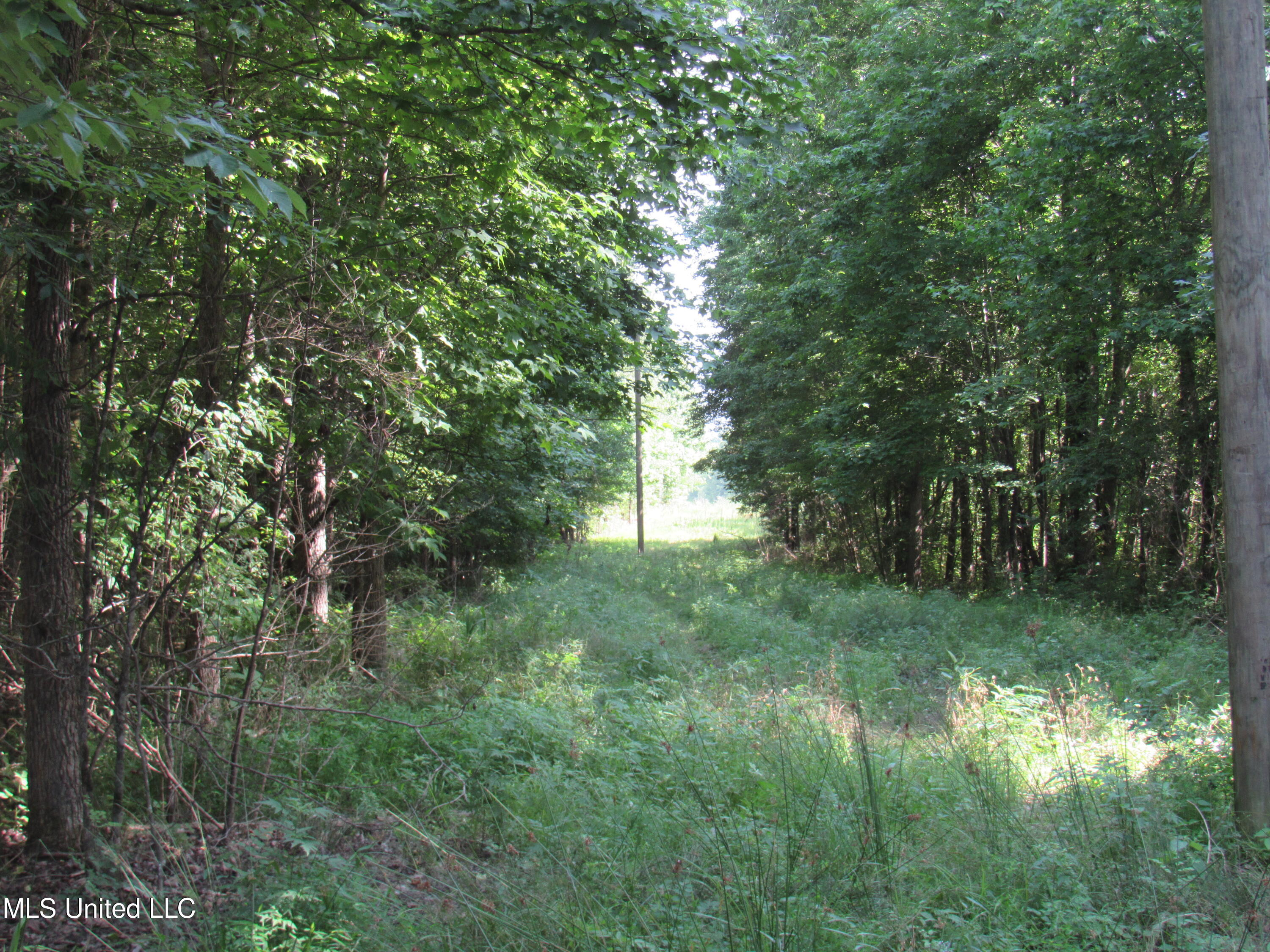 No Harmon Road Senatobia, MS 38668 - Photo 43 of 46 IMG_3467