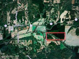 No Harmon Road Senatobia, MS 38668 - Photo 46 of 46 IMG_1058