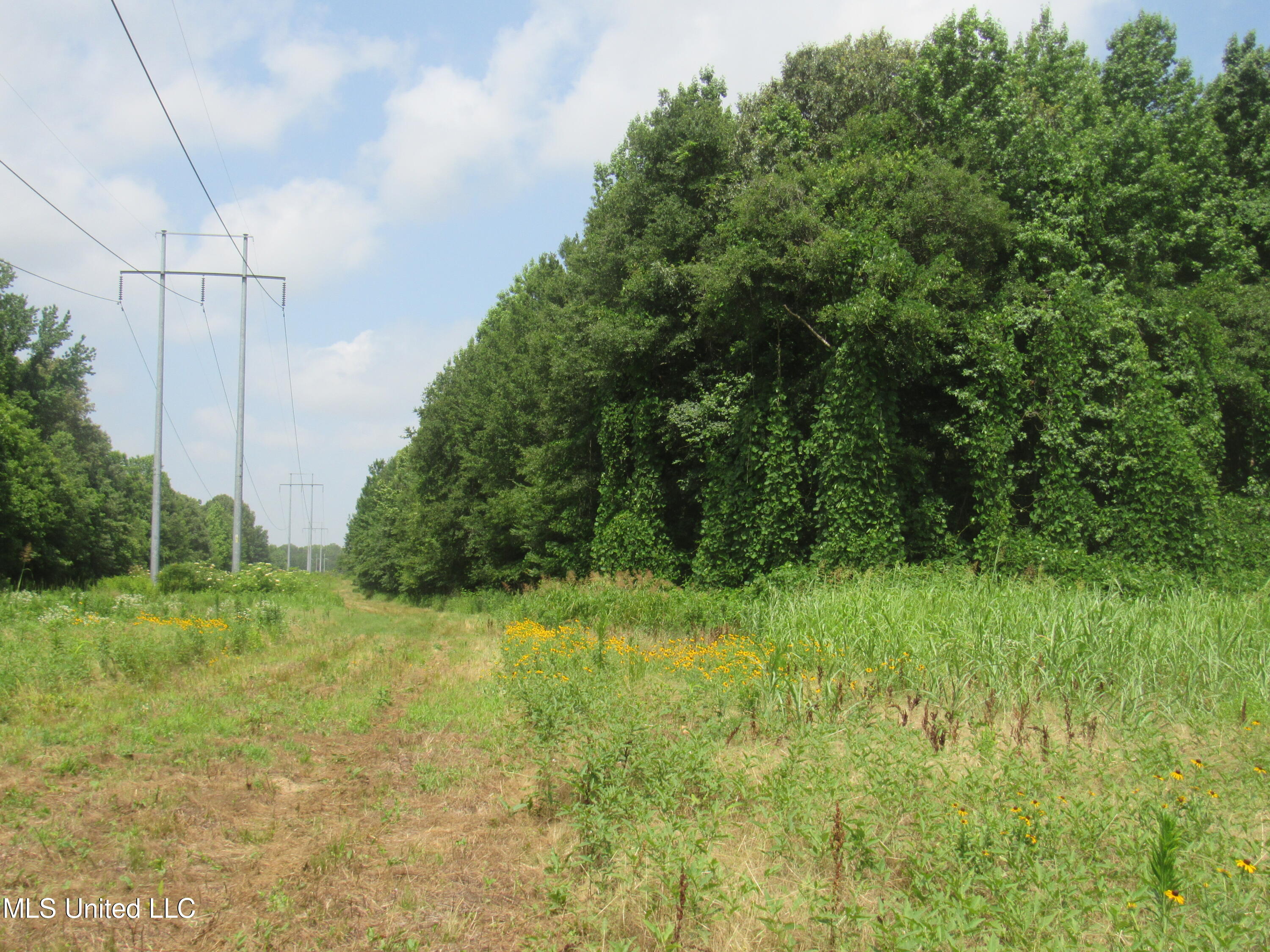 No Harmon Road Senatobia, MS 38668 - Photo 5 of 46 IMG_3418