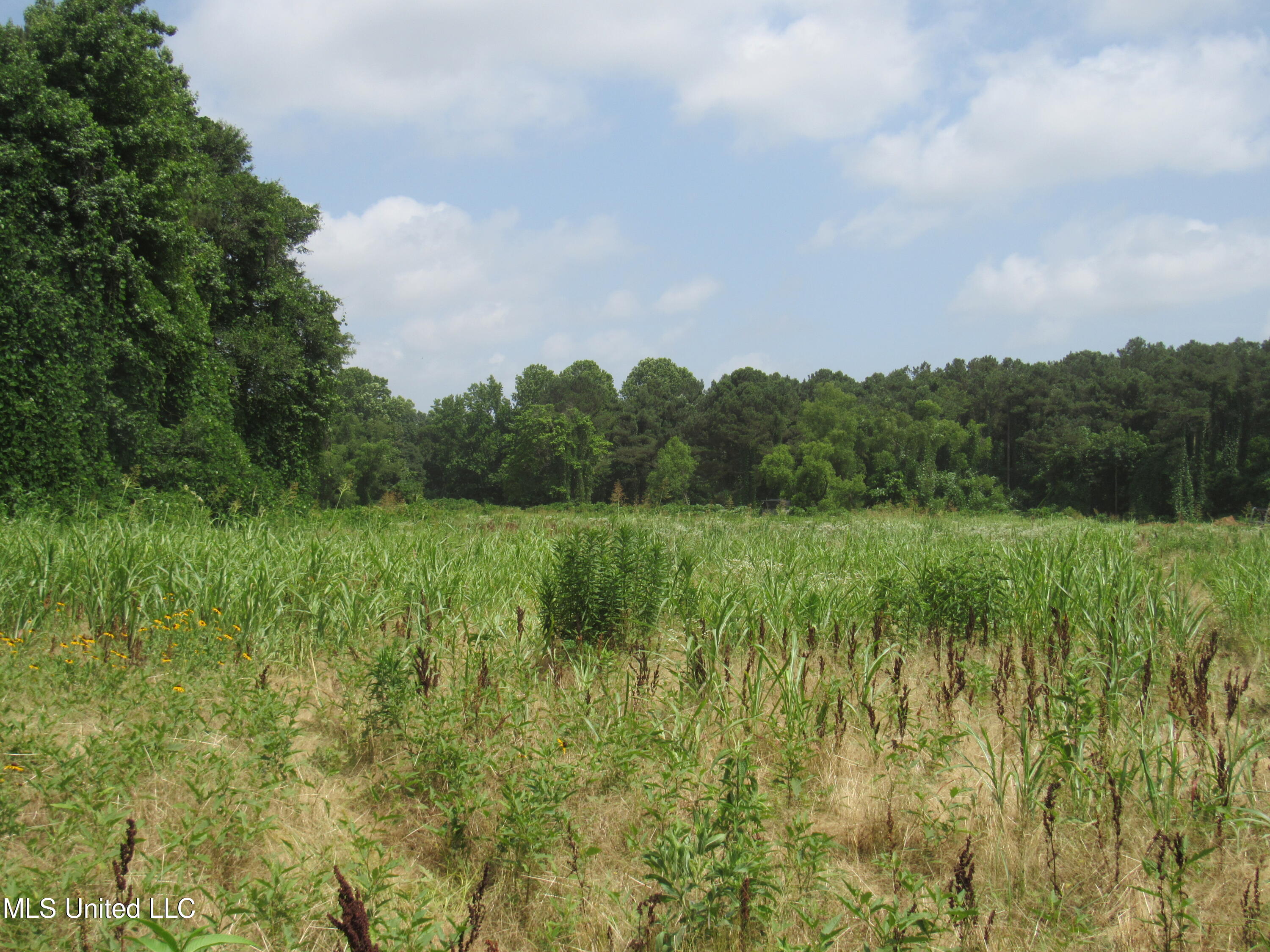 No Harmon Road Senatobia, MS 38668 - Photo 6 of 46 IMG_3419