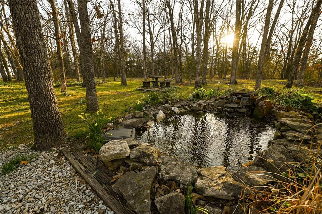 22303 County 253 Road Wheatland, MO 65779 - Photo 11 of 57