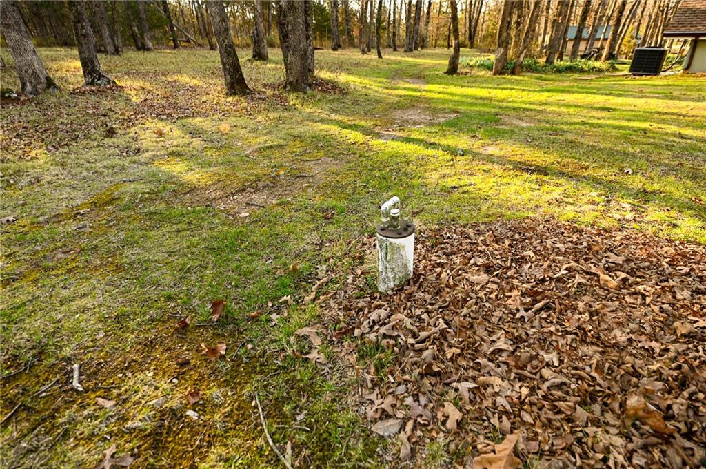 22303 County 253 Road Wheatland, MO 65779 - Photo 14 of 57