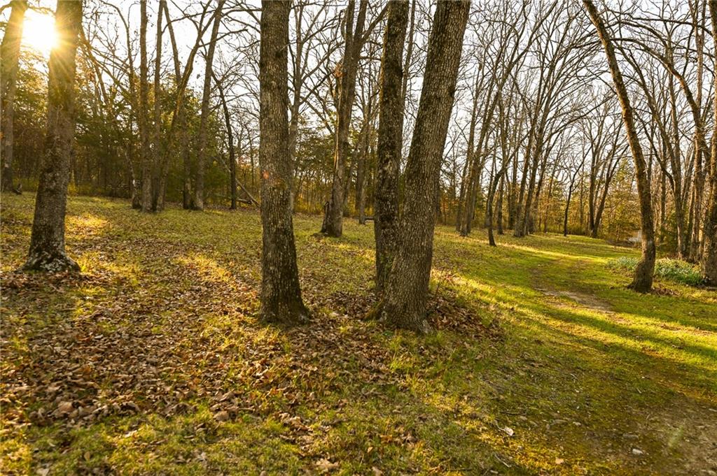 22303 County 253 Road Wheatland, MO 65779 - Photo 16 of 57