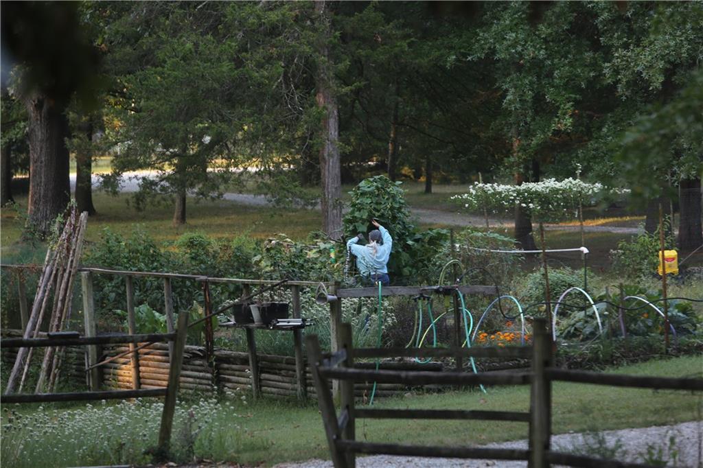 22303 County 253 Road Wheatland, MO 65779 - Photo 37 of 57