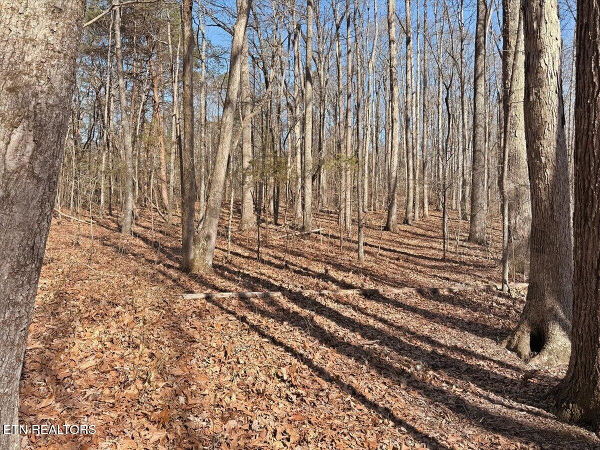 180 Hill Road Heiskell, TN 37754 - Photo 3 of 18 05-002_IMG_2019