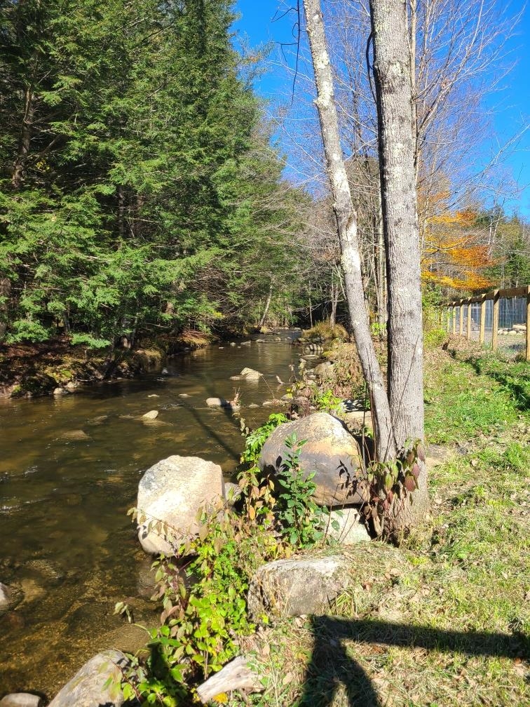 40 Amsden Hill Road Chester, VT 05143 - Photo 22 of 26