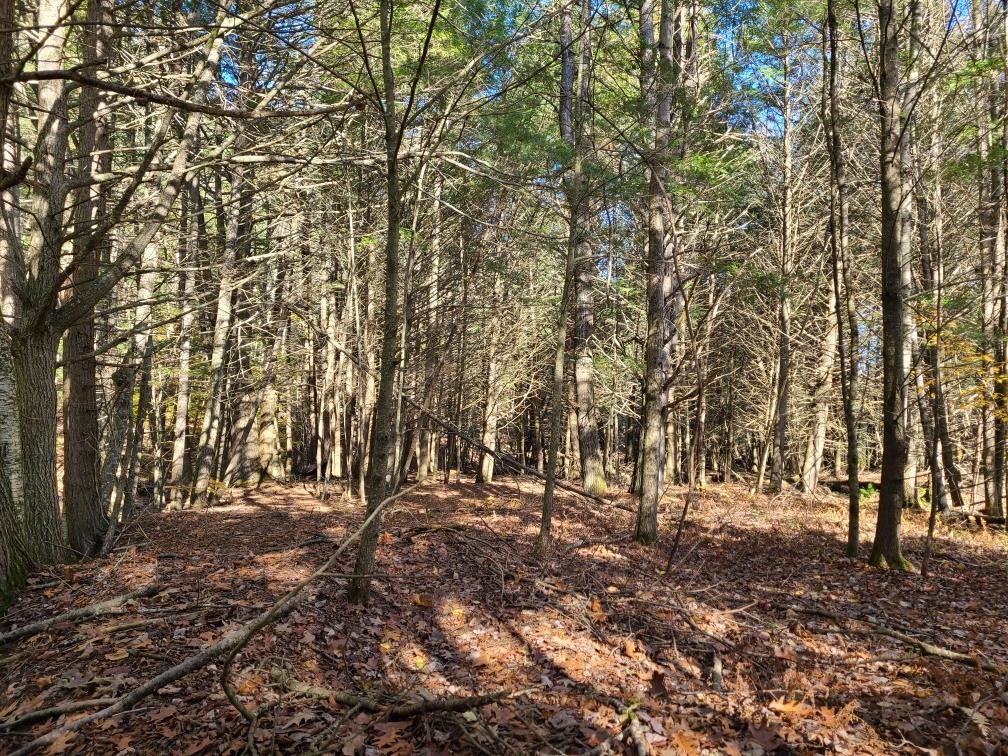 40 Amsden Hill Road Chester, VT 05143 - Photo 23 of 26
