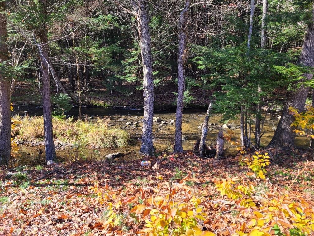 40 Amsden Hill Road Chester, VT 05143 - Photo 25 of 26