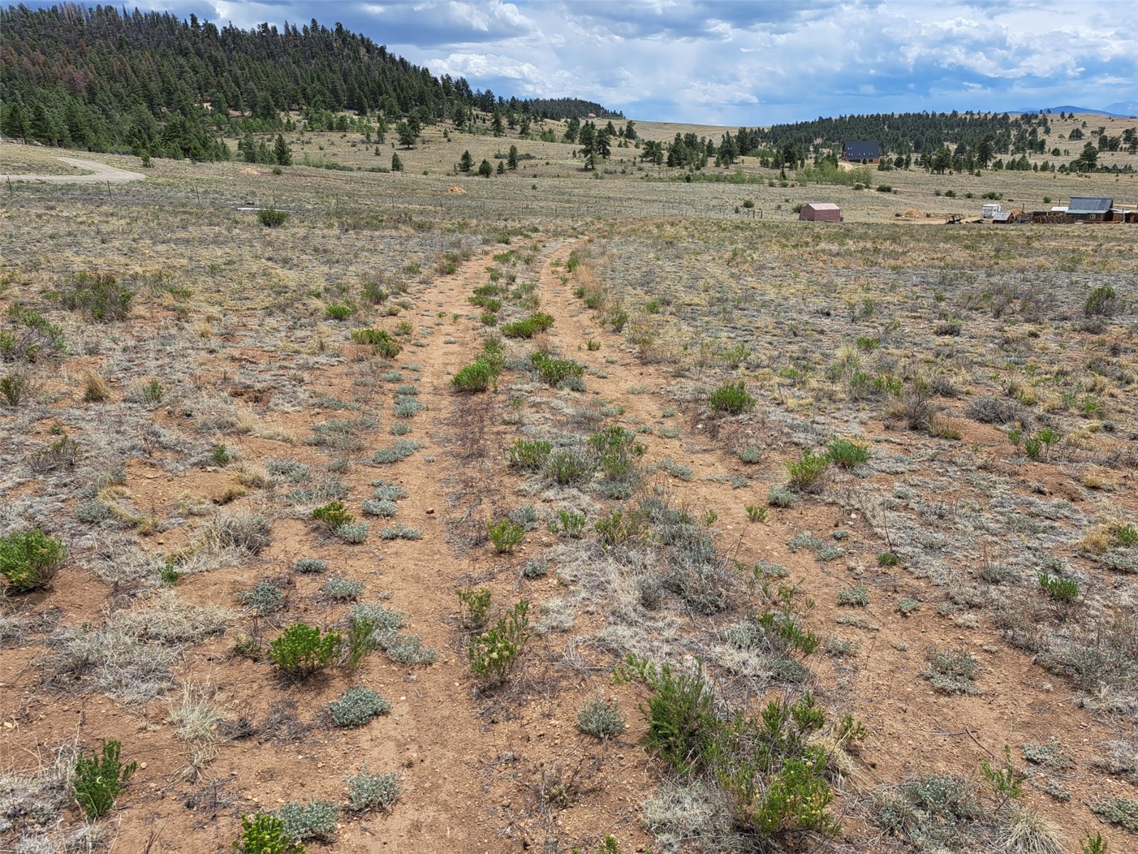 0 Cohonina Road Hartsel, CO 80449 - Photo 7 of 20 a view of a field with an trees