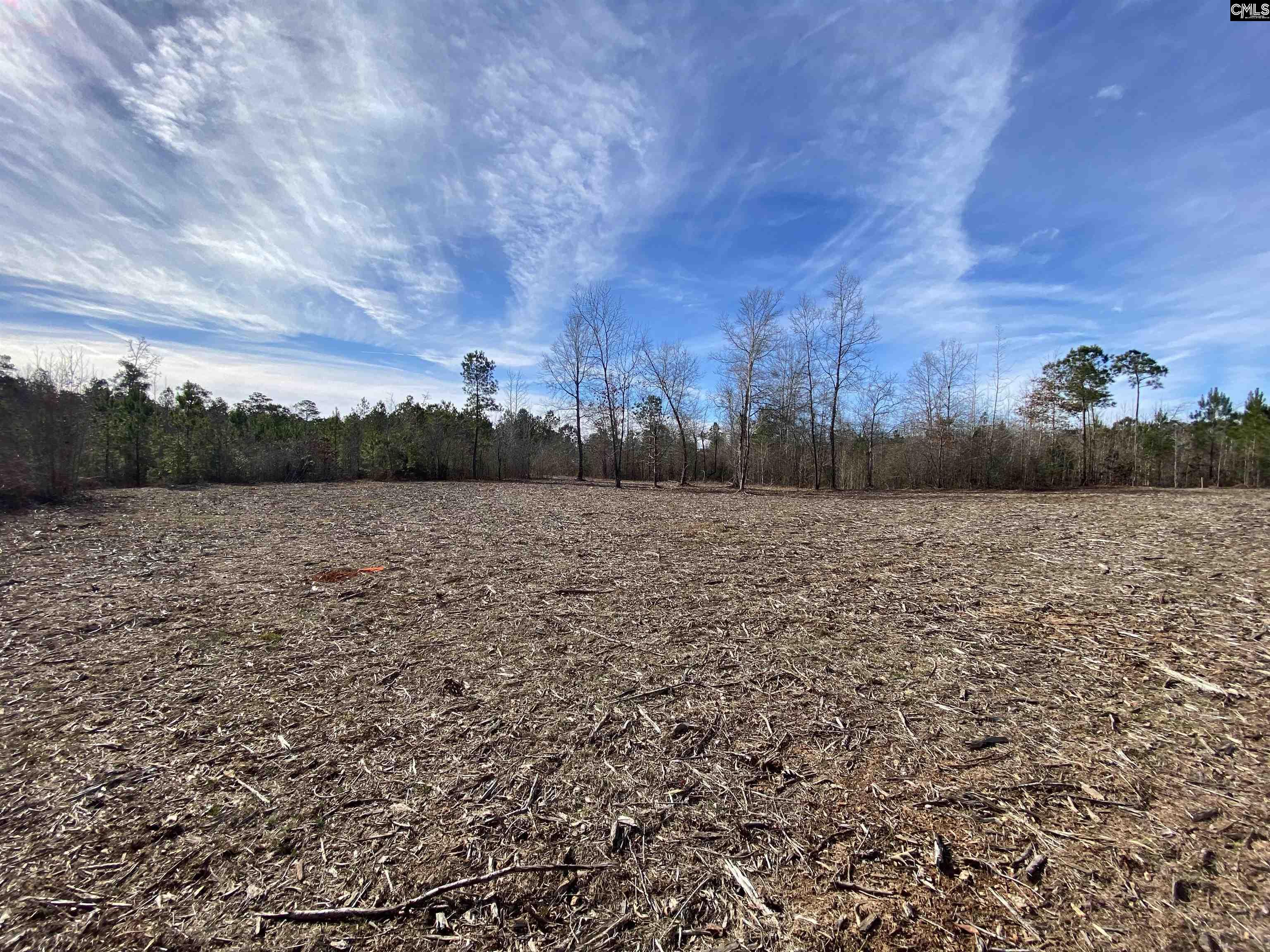 900 Pineywood Road Saluda, SC 29138 - Photo 9 of 23