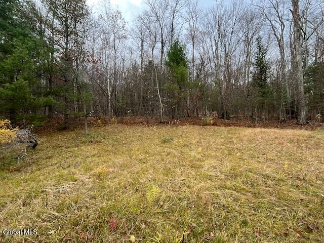 40 Lawrence Road Jewett, NY 12442 - Photo 24 of 24 IMG_0980