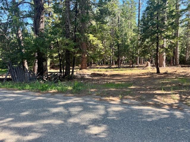 10434 Wentworth Springs Road Georgetown, CA 95634 - Photo 11 of 14 a view of road with trees