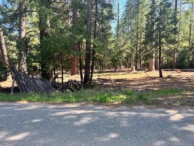 a view of outdoor space with trees