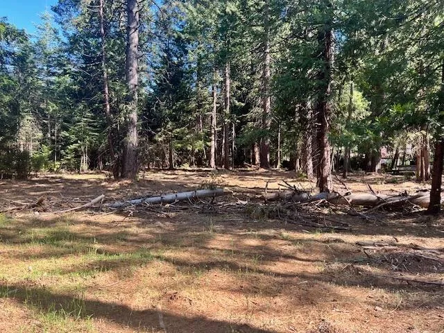 a view of outdoor space with trees