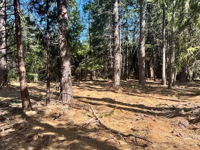 a view of outdoor space with trees