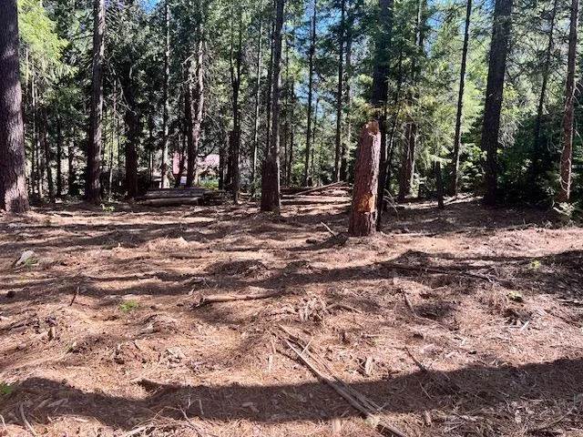 a backyard of a house with lots of trees