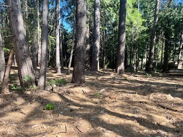 a view of outdoor space with trees