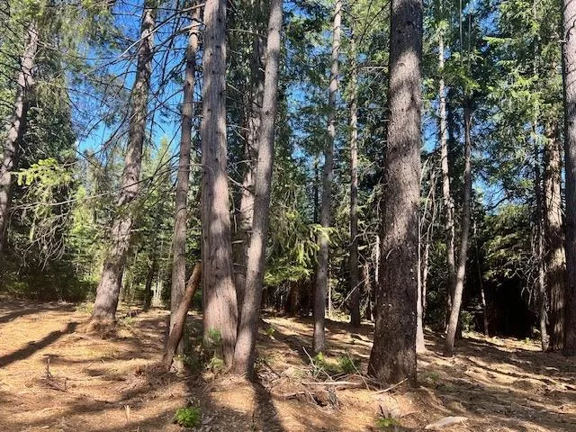 a view of outdoor space with trees