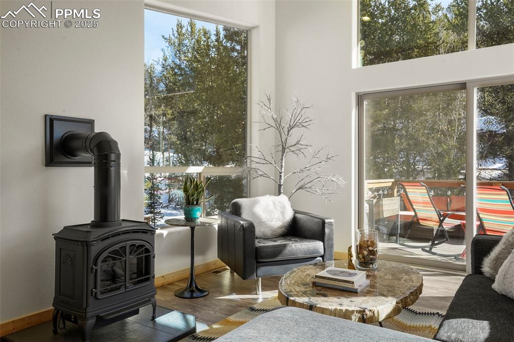 529 Spruce Circle Divide, CO 80814 - Photo 11 of 38 Walk-out to deck space and many windows.