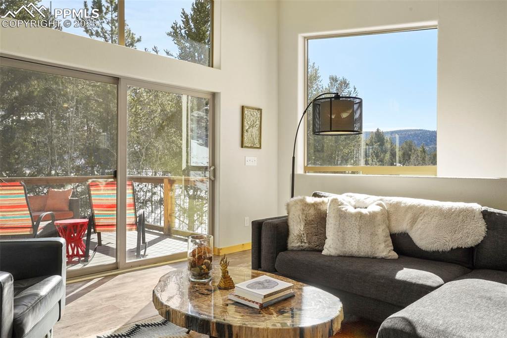 529 Spruce Circle Divide, CO 80814 - Photo 12 of 38 Looking toward the living room from the dining room.