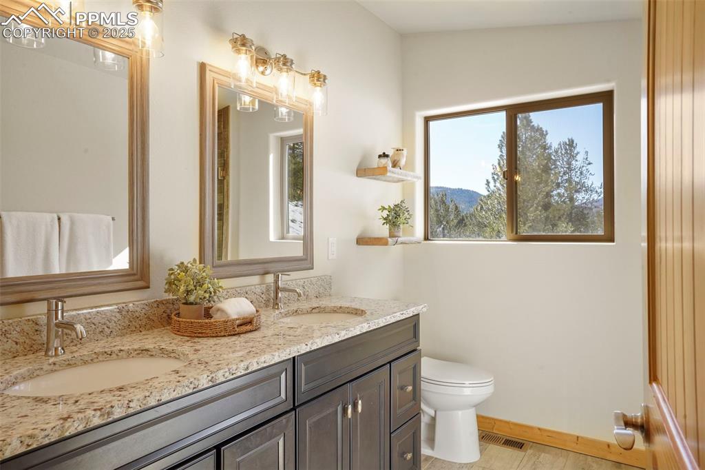 529 Spruce Circle Divide, CO 80814 - Photo 21 of 38 Double sink vanity and granite.