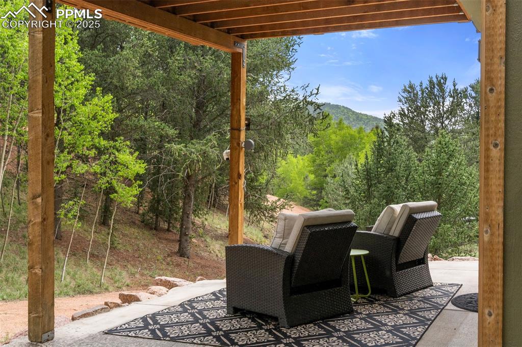 529 Spruce Circle Divide, CO 80814 - Photo 23 of 38 Walk-out to outdoor living.