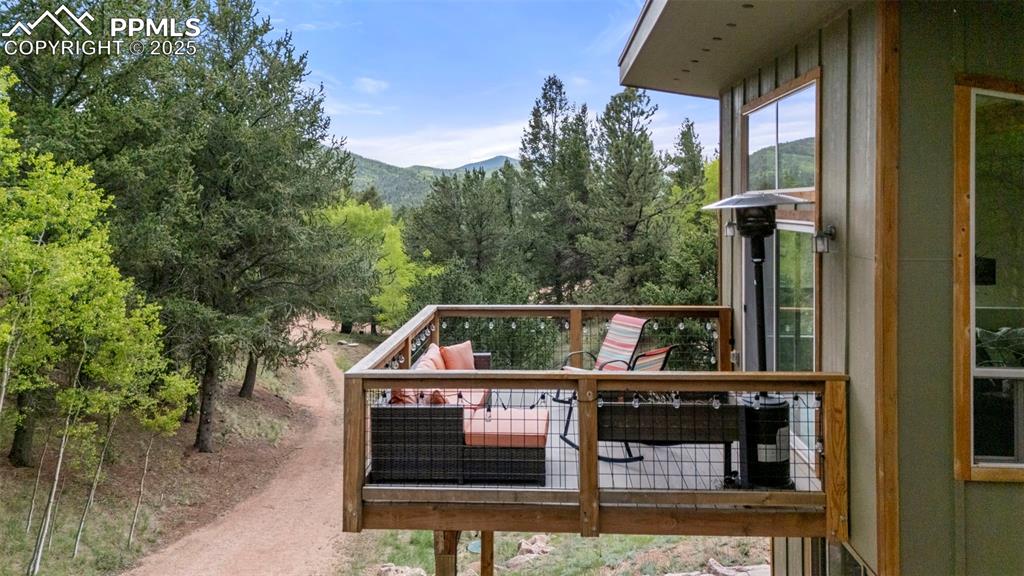 529 Spruce Circle Divide, CO 80814 - Photo 31 of 38