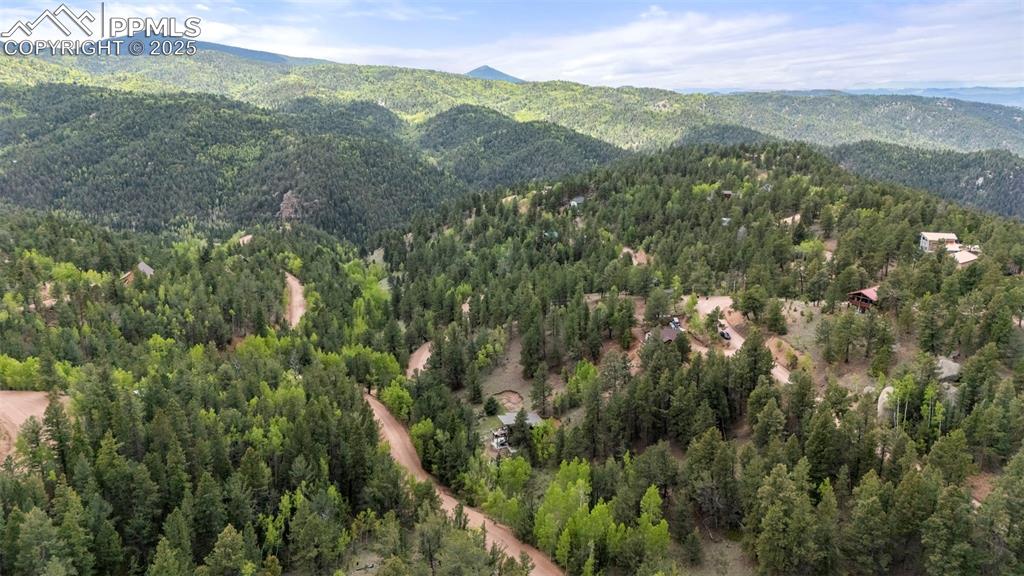 529 Spruce Circle Divide, CO 80814 - Photo 35 of 38