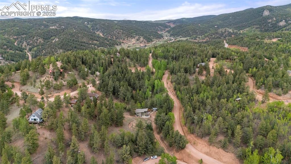 529 Spruce Circle Divide, CO 80814 - Photo 36 of 38